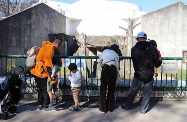 アクティブなファミリーにおすすめ！ 子連れで行きたい「アクティブスポット」3選