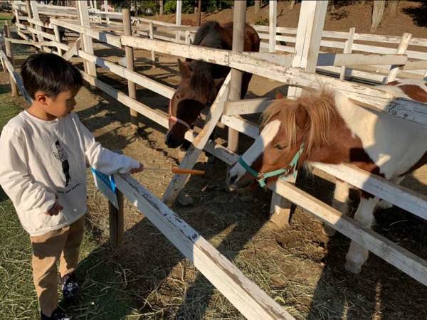 アクティブなファミリーにおすすめ！ 子連れで行きたい「アクティブスポット」3選