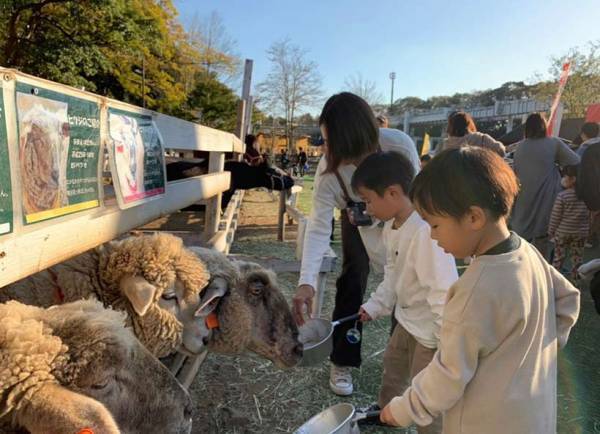 アクティブなファミリーにおすすめ！ 子連れで行きたい「アクティブスポット」3選