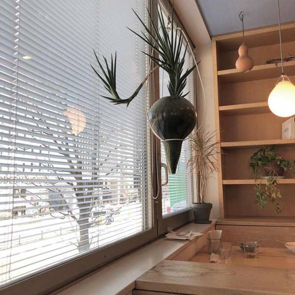 子連れで行きたい、表参道周辺の身体にやさしい3ショップ