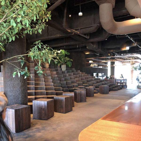 子連れで行きたい、表参道周辺の身体にやさしい3ショップ