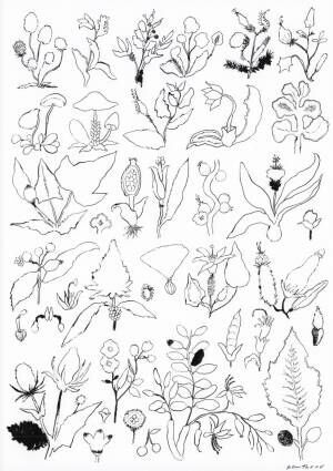 梅雨のお家時間が充実 無料で遊べるおしゃれな塗り絵 工作 2020年6月12日 ウーマンエキサイト 2 4