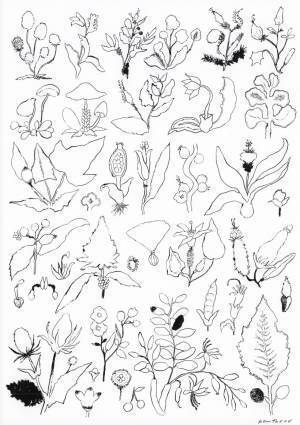 梅雨のお家時間が充実！ 無料で遊べるおしゃれな塗り絵＆工作