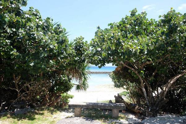 【連載】モデル・武智志穂の沖縄でのんびり双子育児 Vol.2「沖縄に移住したワケ」