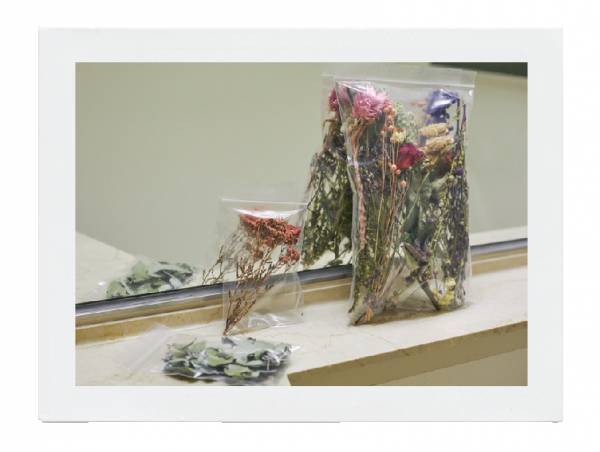 小さな子どもと花を楽しむ 6つのアイディア