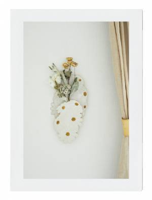 小さな子どもと花を楽しむ 6つのアイディア