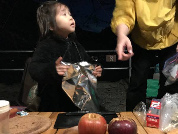 子連れキャンプ、大人と子どもが楽しむ アイディア10