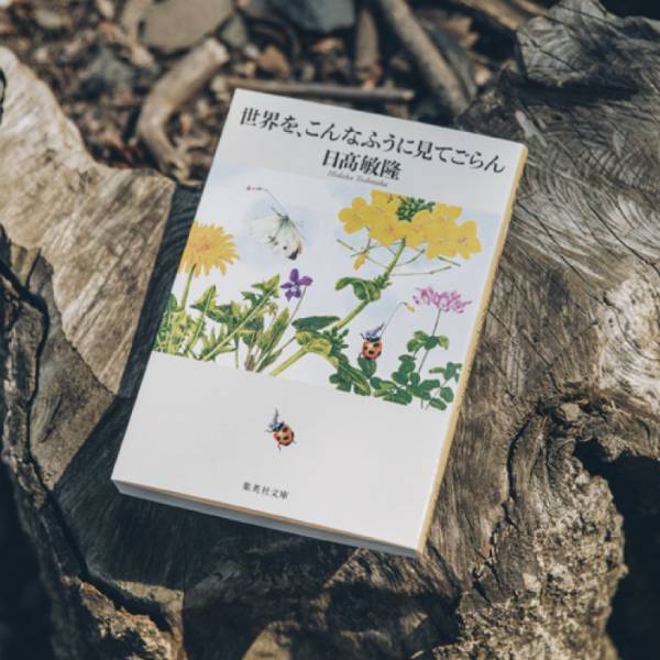 自然があふれる空間で読んで欲しい、 親子におすすめの本10選