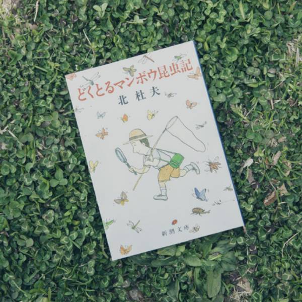 自然があふれる空間で読んで欲しい、 親子におすすめの本10選