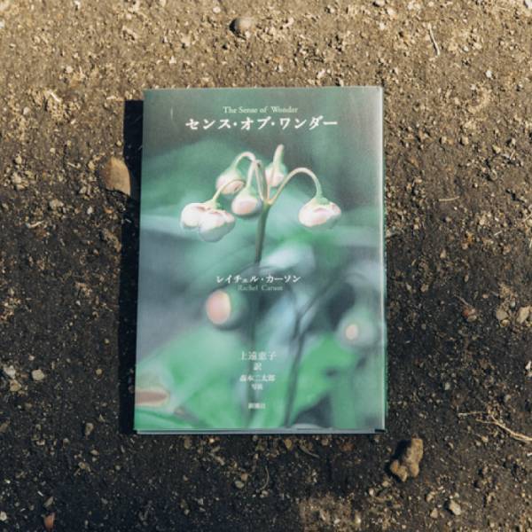 自然があふれる空間で読んで欲しい、 親子におすすめの本10選