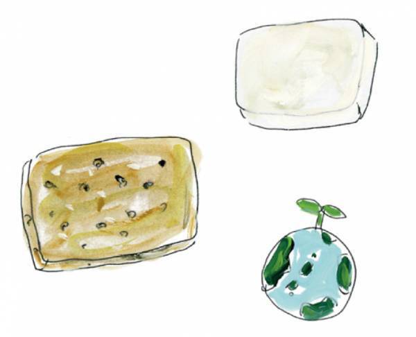 子連れキャンプで実践したい！ 自然にやさしいエコキャンプのアイディア4選