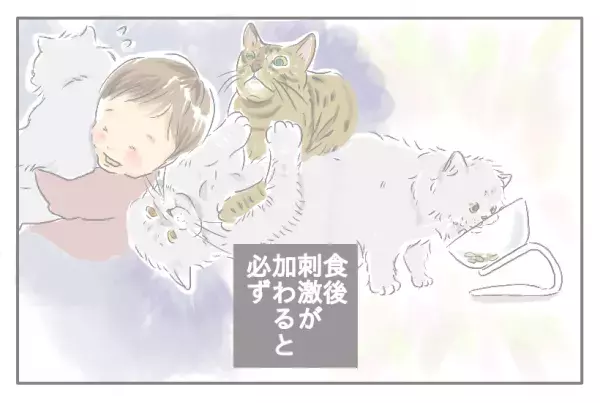 ワンオペ育児ママ・mitoのうーたろうとネコのいる生活  Vol.13 抜群の？チームワーク