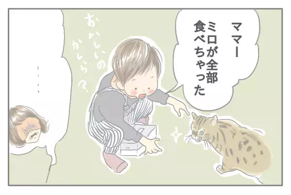 ワンオペ育児ママ・mitoのうーたろうとネコのいる生活  Vol.13 抜群の？チームワーク