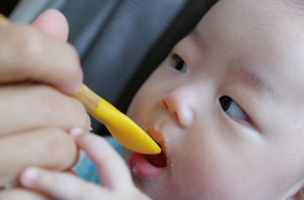 【連載】モデル・武智志穂の沖縄でのんびり双子育児 Vol.5「ついに離乳食がスタート！ おすすめのベビーフードも」