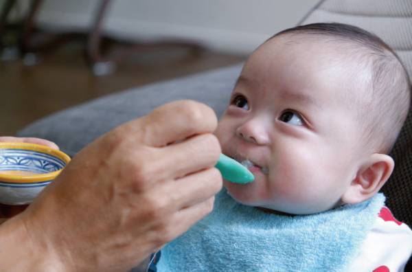 【連載】モデル・武智志穂の沖縄でのんびり双子育児 Vol.5「ついに離乳食がスタート！ おすすめのベビーフードも」