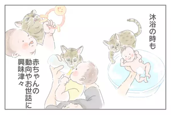 ワンオペ育児ママ・mitoのうーたろうとネコのいる生活  Vol.17 こんにちは赤ちゃん