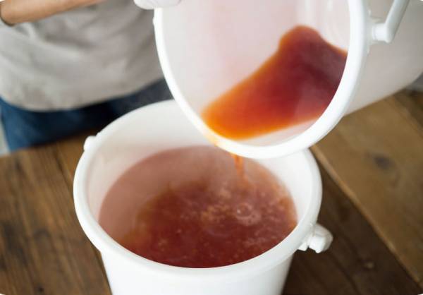 お家で草木染めにチャンレンジ！ Tシャツやマスクを染めてみよう！