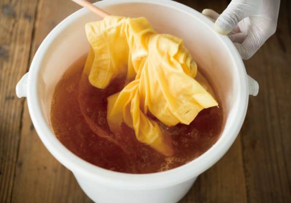 お家で草木染めにチャンレンジ！ Tシャツやマスクを染めてみよう！