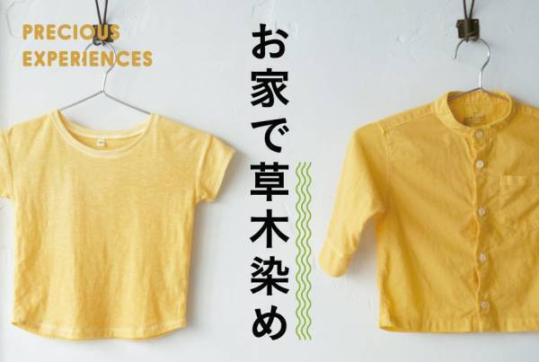 お家で草木染めにチャンレンジ！ Tシャツやマスクを染めてみよう！