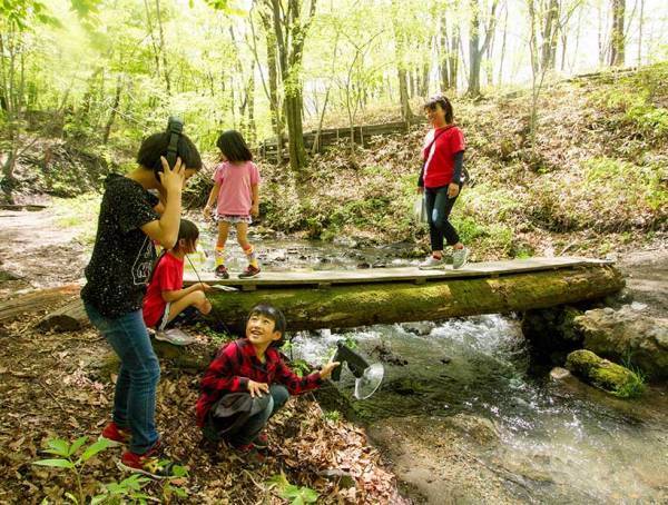 【手ぶらで行けるキャンプ場5選】初心者＆子連れにおすすめ！ 必要な持ちものもチェック！