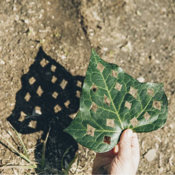 キャンプや公園でできる！ 自然の素材を使った工作遊び6選