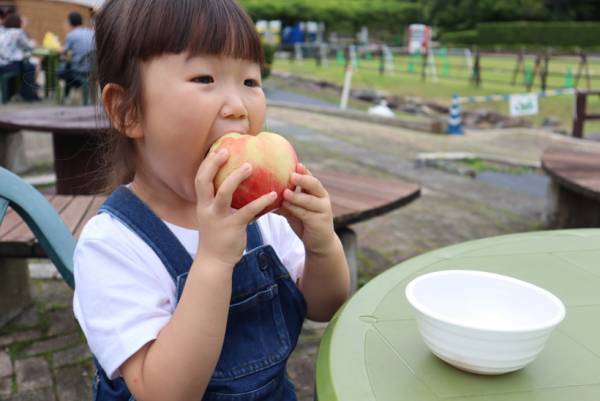 夏キャンプをもっと楽しむためのアイディア14選【遊ぶ＆食べる 編】