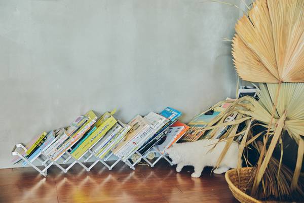 【最高の家づくり】vol.4 あたたかみのあるコンテンポラリーな家（ビームス・東谷弥生さん邸）