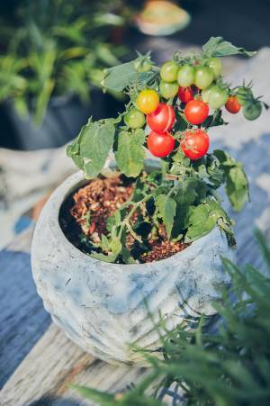 【最高の家づくり】vol.5 つくる家（空間デザイナー・高田尚子さん邸）