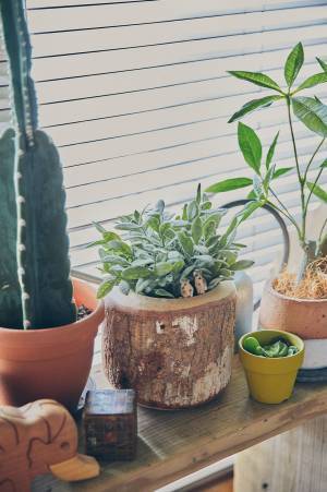 【最高の家づくり】vol.9 自然を感じるアウトドアな家（CAMP HACK編集長・松田隆史さん邸）