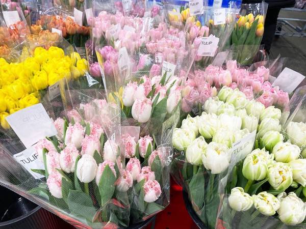 食料品からキッズアイテムまで！ 編集アシYが『コストコ』のおすすめアイテム20選を紹介