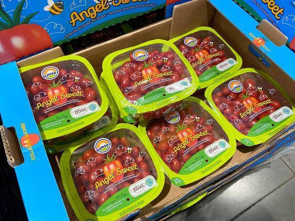 食料品からキッズアイテムまで！ 編集アシYが『コストコ』のおすすめアイテム20選を紹介