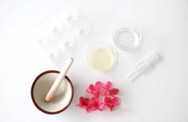 身近な草花を使って遊ぼう！ 草花遊びの4つのアイディア