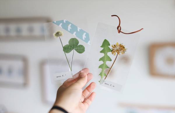 身近な草花を使って遊ぼう！ 草花遊びの4つのアイディア