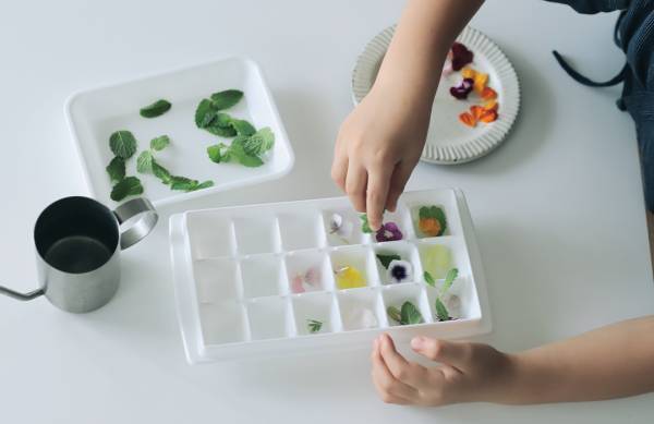 身近な草花を使って遊ぼう！ 草花遊びの4つのアイディア