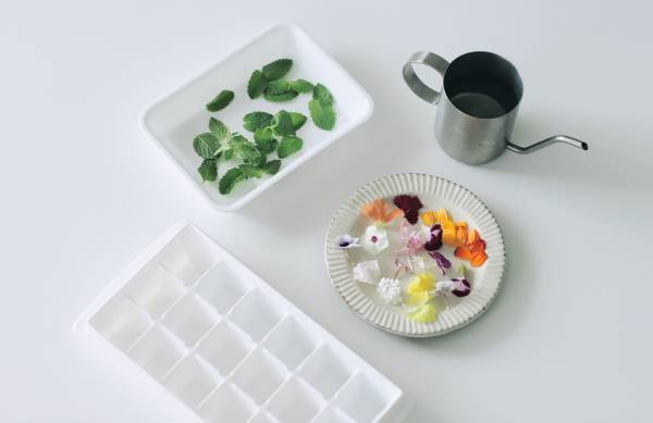 身近な草花を使って遊ぼう！ 草花遊びの4つのアイディア