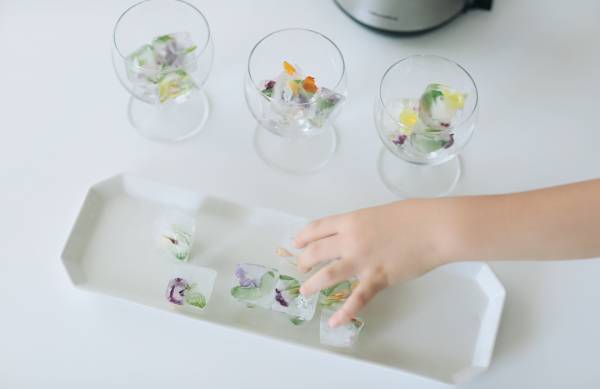 身近な草花を使って遊ぼう！ 草花遊びの4つのアイディア