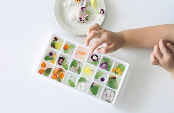 身近な草花を使って遊ぼう！ 草花遊びの4つのアイディア