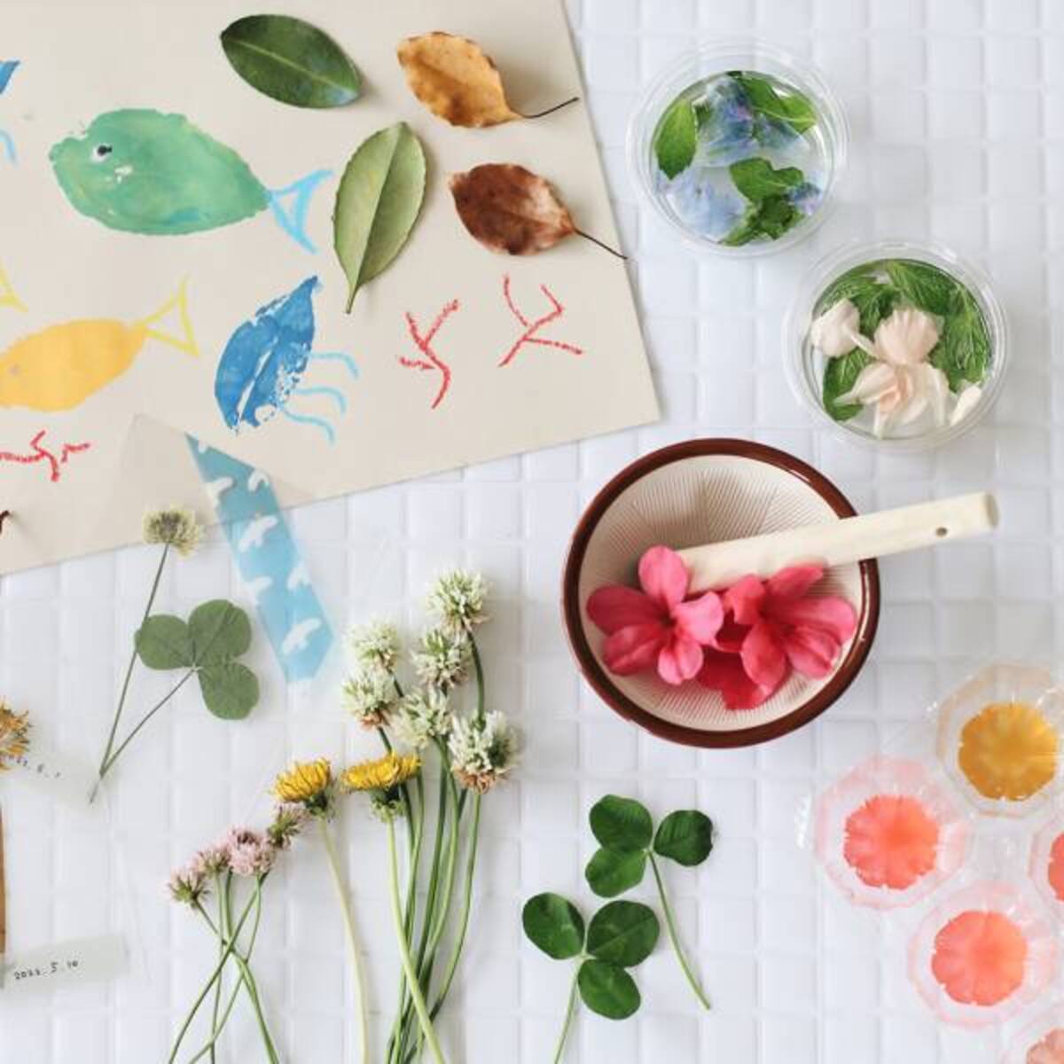 身近な草花を使って遊ぼう 草花遊びの4つのアイディア 22年5月31日 ウーマンエキサイト 1 2