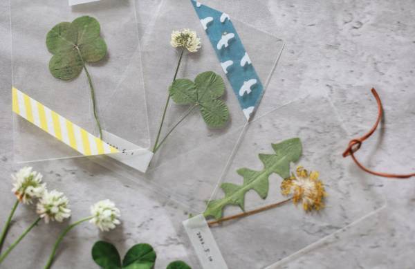 身近な草花を使って遊ぼう！ 草花遊びの4つのアイディア