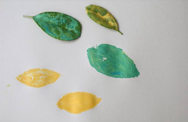 身近な草花を使って遊ぼう！ 草花遊びの4つのアイディア