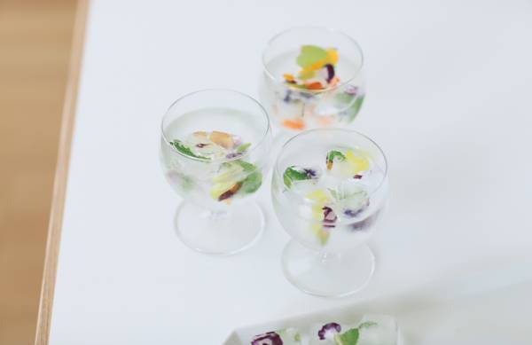 身近な草花を使って遊ぼう！ 草花遊びの4つのアイディア