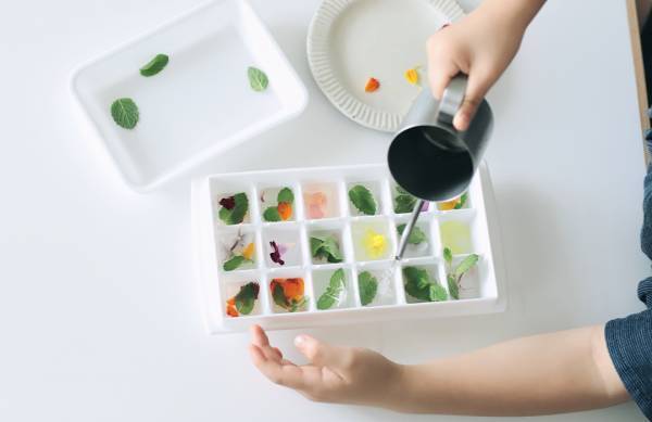 身近な草花を使って遊ぼう！ 草花遊びの4つのアイディア