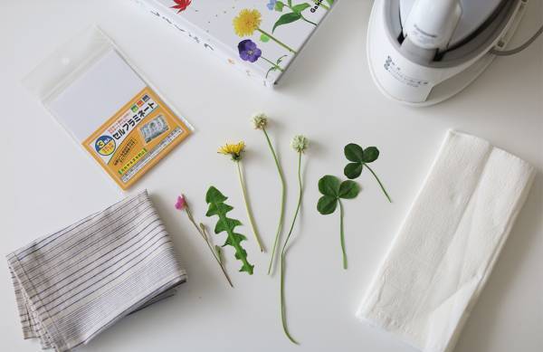 身近な草花を使って遊ぼう！ 草花遊びの4つのアイディア