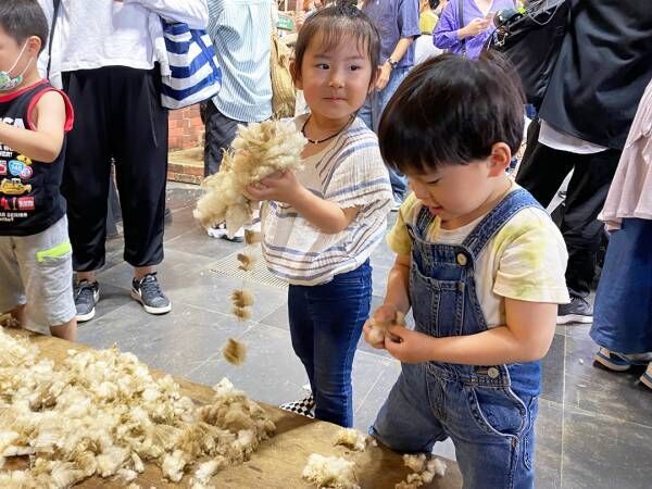 子連れで楽しめる！ 「マザー牧場」のグランピングをレポート ～遊ぶ編～