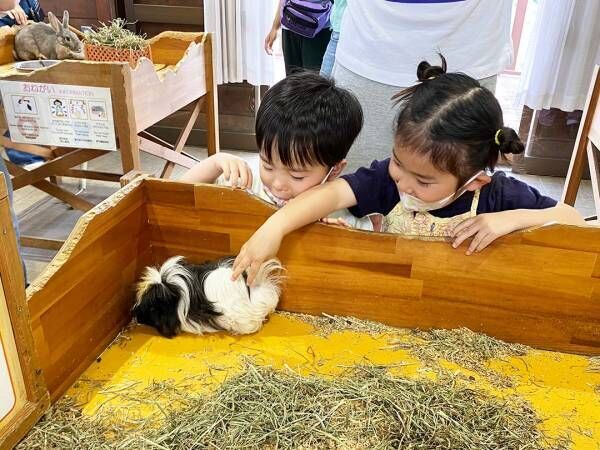 子連れで楽しめる！ 「マザー牧場」のグランピングをレポート ～遊ぶ編～