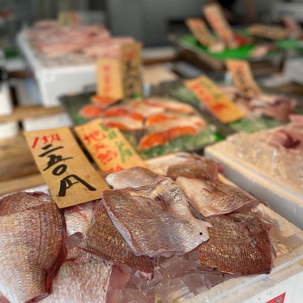 関東一泊週末旅行！〜子連れで楽しむ逗子の町〜