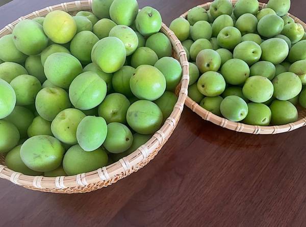 着色料なし・白砂糖なしのシロップで、おうちかき氷！