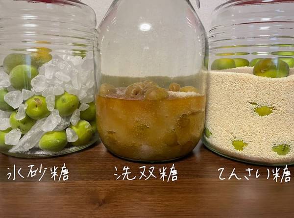 着色料なし・白砂糖なしのシロップで、おうちかき氷！