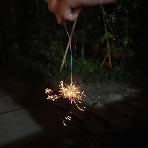 家族でAirBnB初体験！〜子どもが大喜び！逗子の古民家に宿泊〜