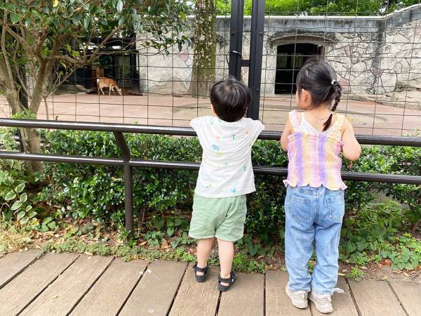 何気ない日常をフィルムカメラに。写真館＆動物園でファミリーフォト撮影